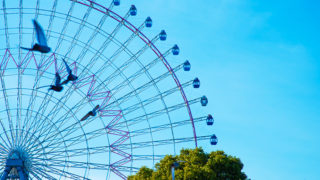 室内や夜の撮影での失敗とまずやっておきたいカメラやスマホの設定 森川ゆみ子オフィシャルサイト